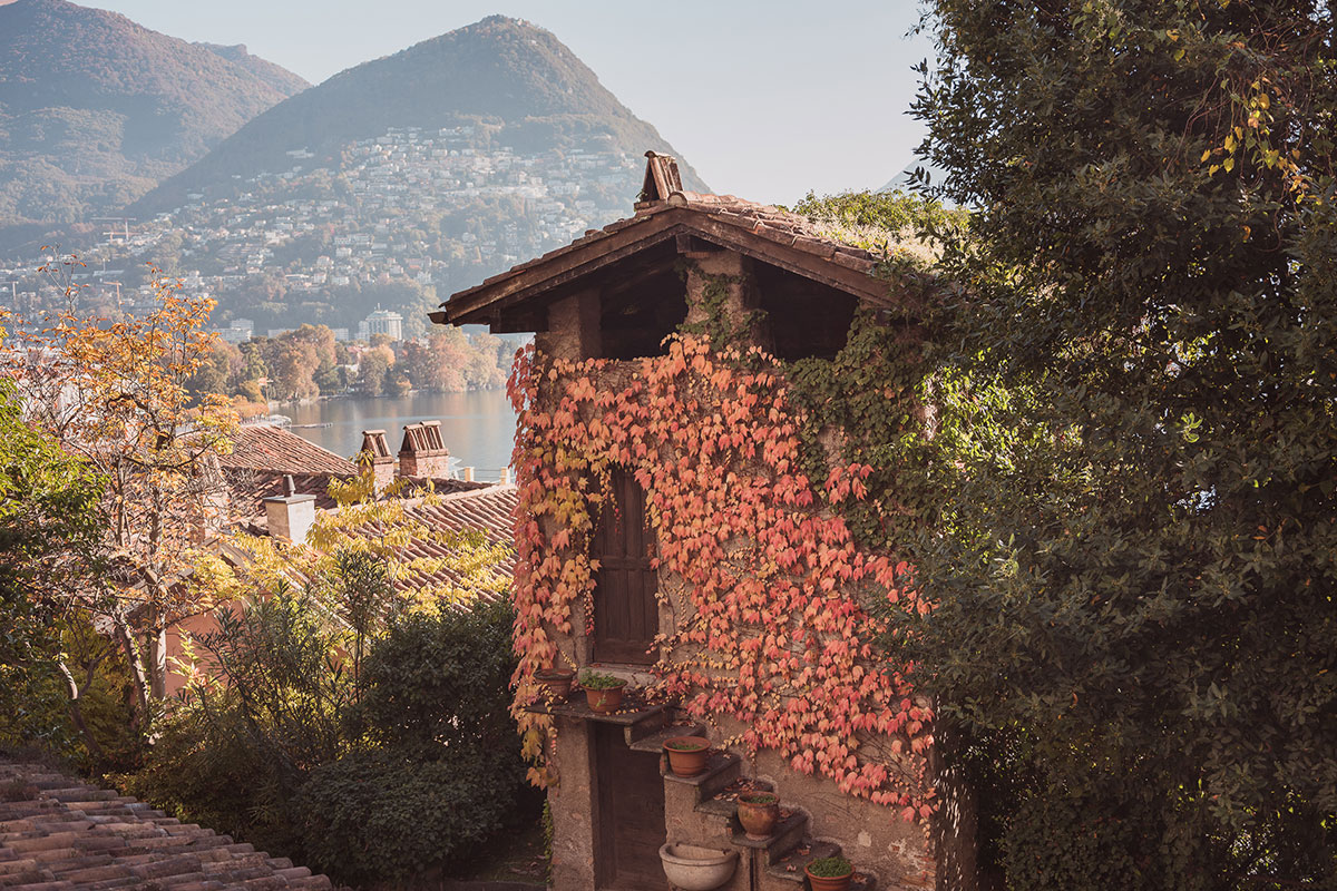 autunno - @ Alfio Tommasini